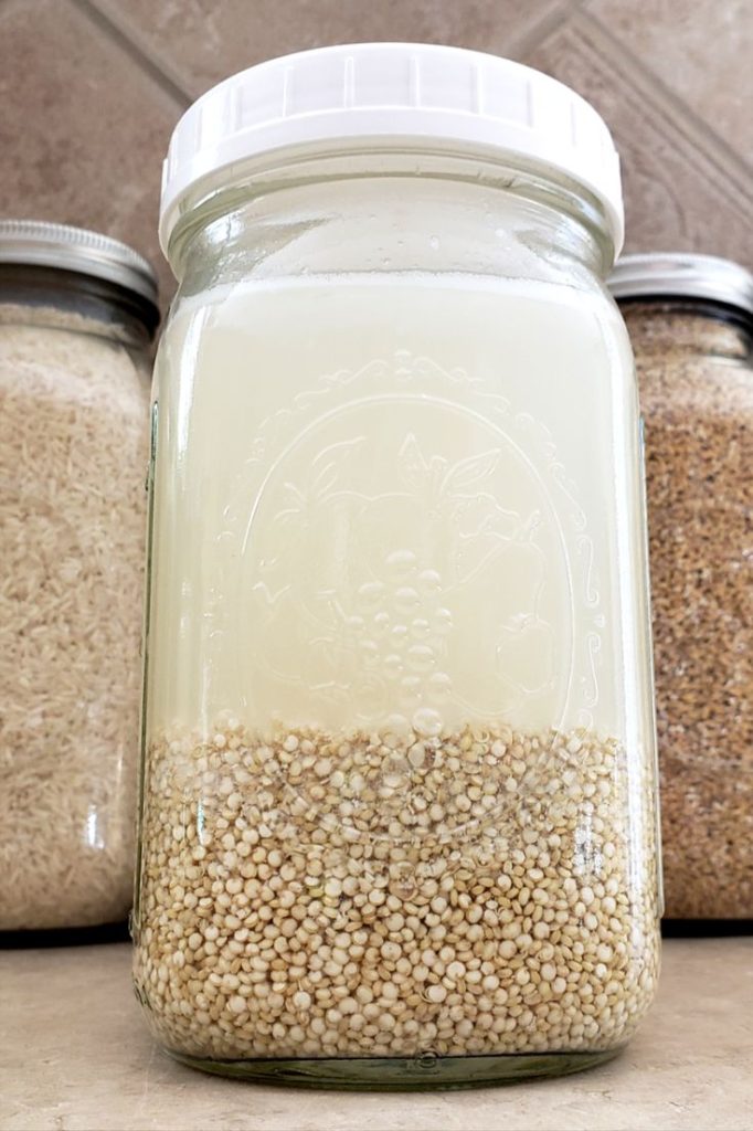 Serwatka: Naturalna Fermentacja i Dodatkowe Probiotyki